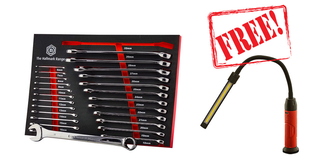 25pc Combination Spanner/Wrench Set 6-32mm + FREE Flexi Work Light