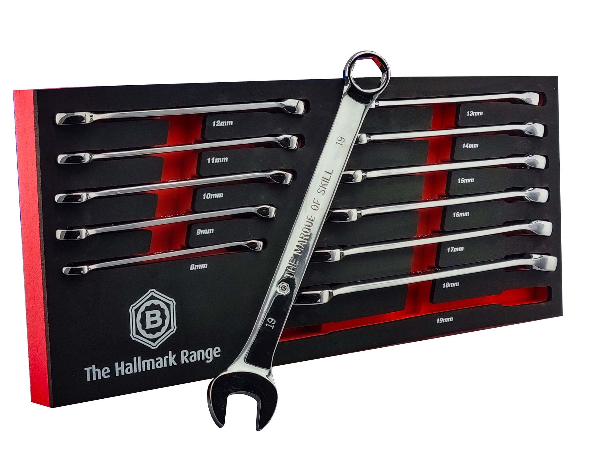 12 chrome vanadium spanners with 6-pint hex rings presented in a red & black EVA foam tray.