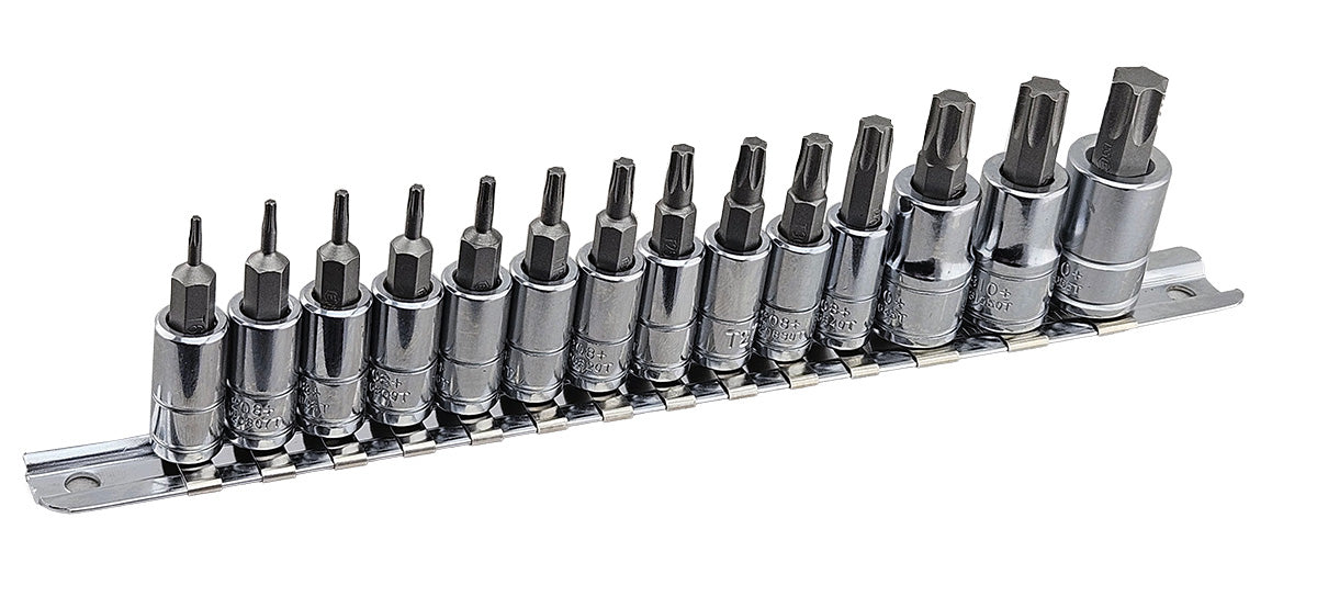 A set of 14 torx bit sockets on a metal rail. Includes sizes T6 to T55.